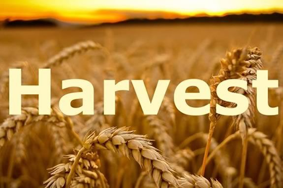 Join HWRHS Choirs and A Cappella groups for the Annual Harvest Concert & Auction at Hamilton Wenham Regional High School Join HWRHS Choirs and A Cappella groups for the Annual Harvest Concert & Auction at Hamilton Wenham Regional High School
