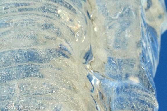 Kids can explore the wonders of Ice at this science workshop for kids at Joppa Flats Kids can explore the wonders of Ice at this science workshop for kids at Joppa Flats