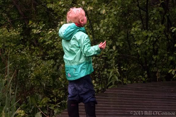 Enjoy this sensory walk on the trails of Ipswich River Wildlife Sanctuary with your children! 