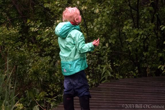 Enjoy this sensory walk on the trails of Ipswich River Wildlife Sanctuary with your children! Enjoy this sensory walk on the trails of Ipswich River Wildlife Sanctuary with your children!