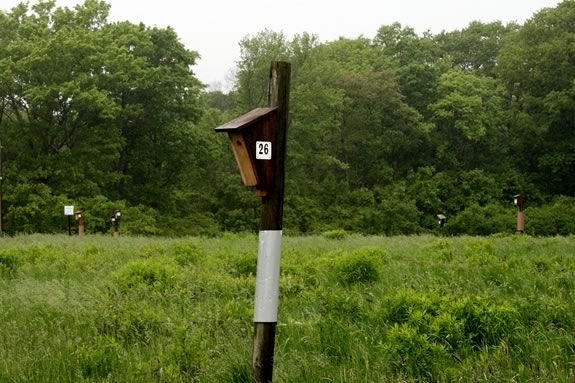 Come see what you find when you explore the fields at Ipswich River Wildlife Sanctuary!