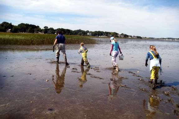 Explore the transitional zone of the Joppa Mud Flats in Newburyport