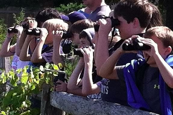 Kids and adults will learn about the diversity of Plum Island and the North Shore wildlife at Mass Audubon's Joppa Flats Education Center in Newburyport! Kids and adults will learn about the diversity of Plum Island and the North Shore wildlife at Mass Audubon's Joppa Flats Education Center in Newburyport!
