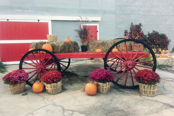 Long Hill Orchard Fall Festival Long Hill Orchard Fall Festival
