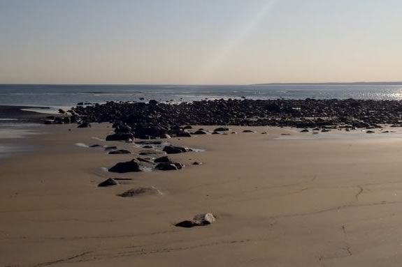 Low tide is the perfect time for tide pooling at Sandy Point Reservation!