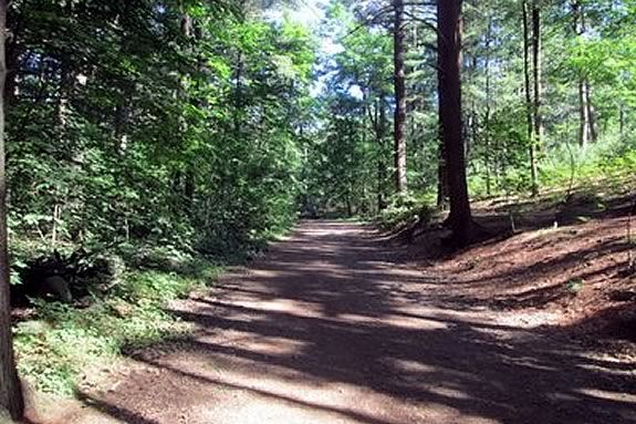 Hike the trails of Lynn Woods with your family in Lynn Massachusetts Hike the trails of Lynn Woods with your family in Lynn Massachusetts