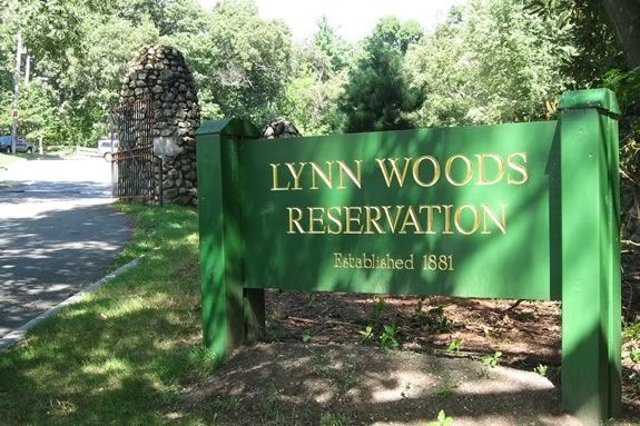 The South Side Lynn Woods Massachusetts is one of the largest municipal forests in the United States at 2,200 acres.