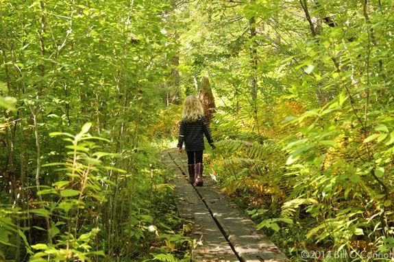 Join Cape Ann YMCA on a hike through the wild of Ravenswood Park in Gloucester Massachusetts!