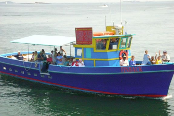 Afternoon Sightseeing Cruise Fall Visit Massachusetts