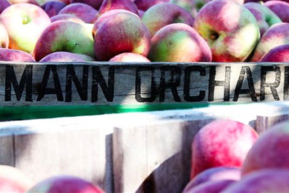 Visit Massachusetts Methuen Mann Orchard Festival and Customer Appreciation week