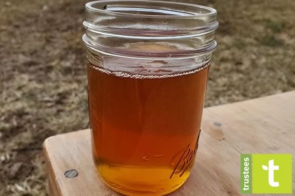 Try your hand at maple sugaring at The Trustees of Reservations' Appleton Farms! Join us for a fun, hands-on workshop that kids and adults will love. Try your hand at maple sugaring at Appleton Farms! Join us for a fun, hands-on workshop that kids and adults will love.