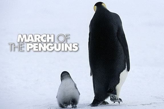 Watch March of the Penguins at the Parker River Wildlife Refuge in Newburyport Watch March of the Penguins at the Parker River Wildlife Refuge in Newburyport