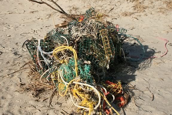 Help clean up Crane Beach in Ipswich Massachusetts to get it ready for the Summer!