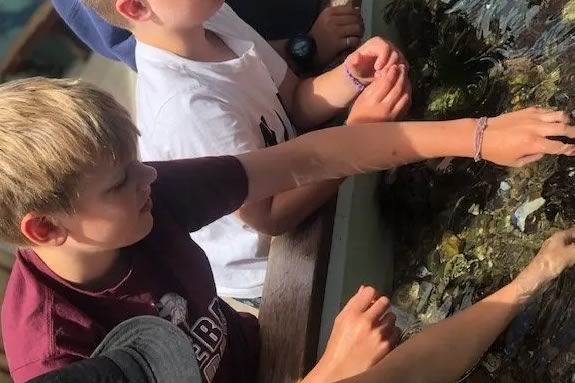 Finding and Identifying Marine Invasive Species at Maritime Gloucester in Massachusetts as partof Trails& Sails Finding and Identifying Marine Invasive Species at Maritime Gloucester in Massachusetts as partof Trails& Sails