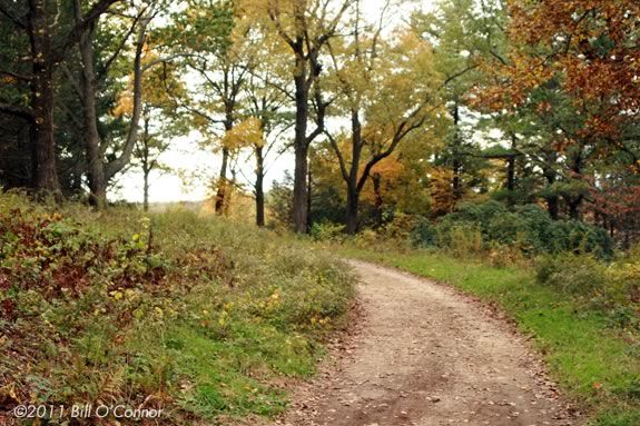 Join the park interpreter on a hike through the trails of Maudslay State Park in Newburyport!