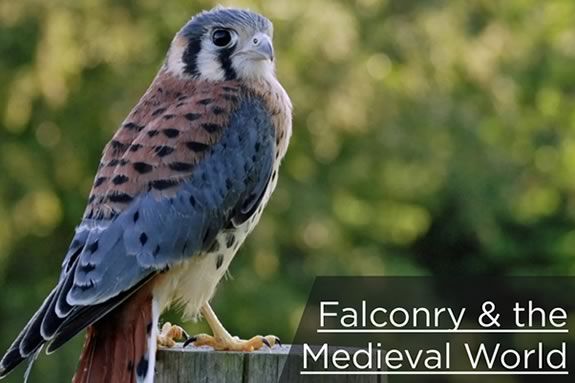 Bring your kids to the Hammond Castle Museum in Gloucester Massachusetts for a live falconry presentation