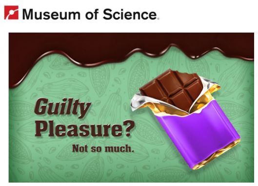 Boston Museum of Science Chocolate The Exhibition Boston Museum of Science Chocolate The Exhibition