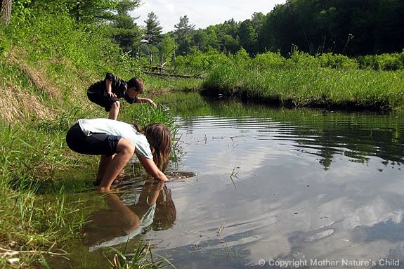 Mother Nature's Child explores how todays children are disconnected from nature.