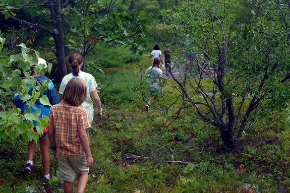 Hike Mount Agamenticus in Maine with Mass Audubon's Joppa Flats Education Center during April Vacation! 