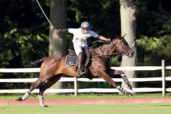 Myopia Polo match and picnic as part of trails and sails!