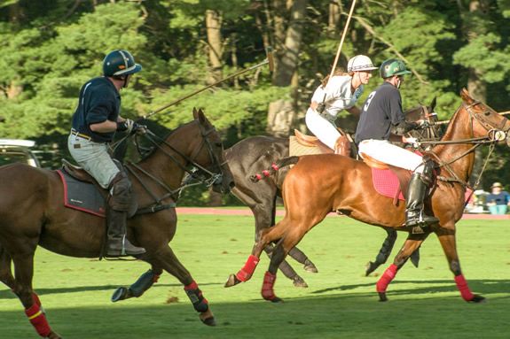 Polo at Myopia Hunt Club in Hamilton MA Polo at Myopia Hunt Club in Hamilton MA