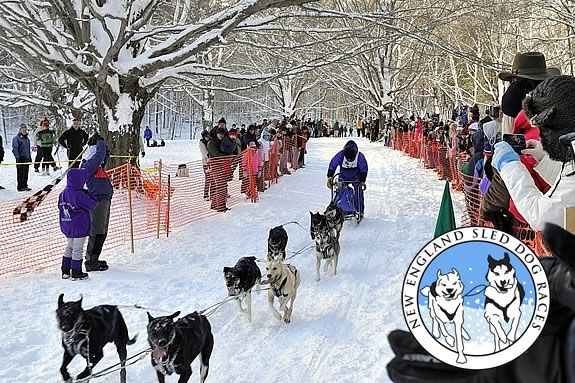The New England Dog Sled Races are a great way for the family to get outside in January at Appleton Farms in Ipswich! The N.E. Dog Sled Races are a great way for the family to get outside in January