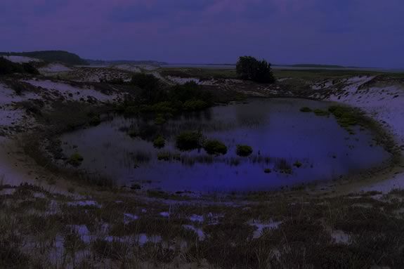 Enjoy a night hike at the Crane Estate to celebrate the end of March! Enjoy a night hike at the Crane Estate to celebrate the end of March!