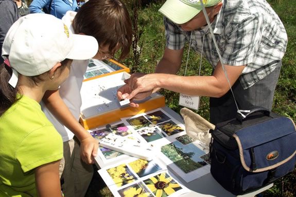 N.U. Marine Science Center Open House offers educational fun for the family!