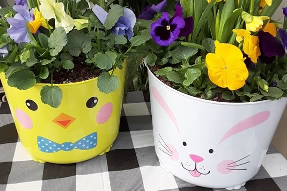 Kids can make their own spring planter basket at Nunan's Greenhouse and Nursery in Georgetown Massachusetts Kids can make their own spring planter basket at Nunan's Greenhouse and Nursery in Georgetown Massachusetts