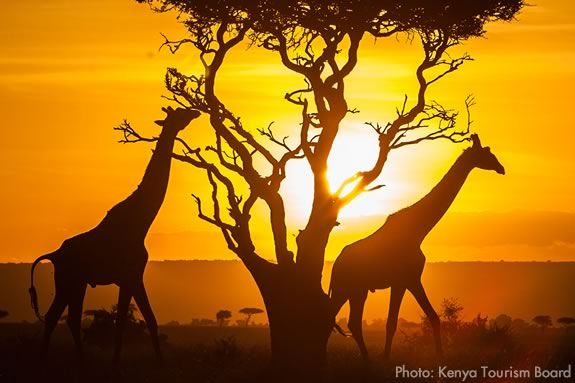 Newburyport Youth Services Kenya Trip Information Night NYS Kenya Trip Information Night