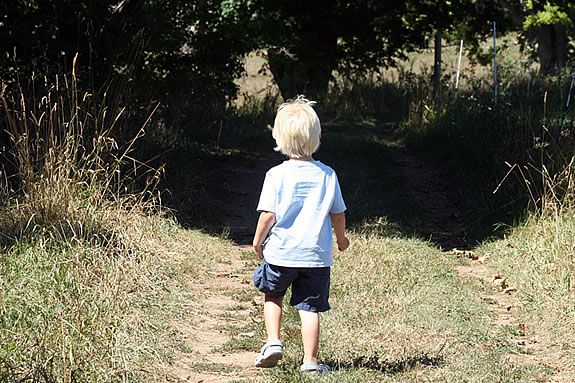 Explore the trails and hardly passed roads at Appleton Farms!