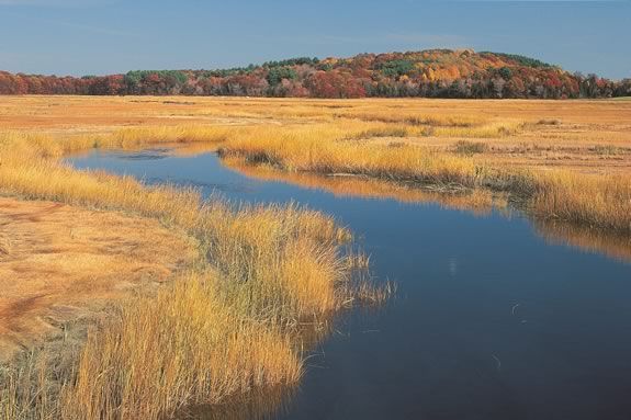 Join the Trustees for a free hike up Old Town Hill in Newbury Massachusetts