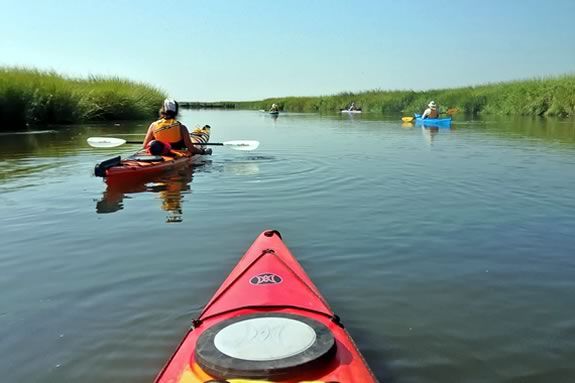 Paddle the waters of the Parker River Wildlife Refuge on this ranger guided tour. Paddle the waters of the Parker River Wildlife Refuge on this ranger guided tour.