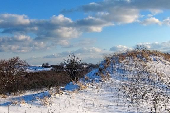 Fee-Free Day: Martin Luther King Jr. Day at Parker River NWR in Newburyport Massachusetts