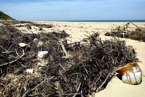 Come help with coastal debris and other trash at the beaches of Parker River Wildlife Refuge