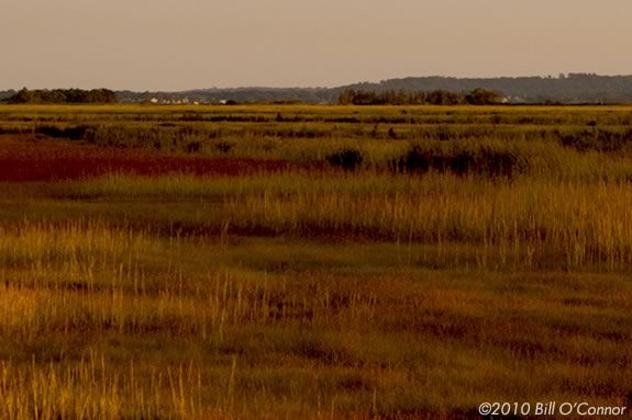 Explore Parker River Wildlife Sanctuary with your family and Mass Audubon!