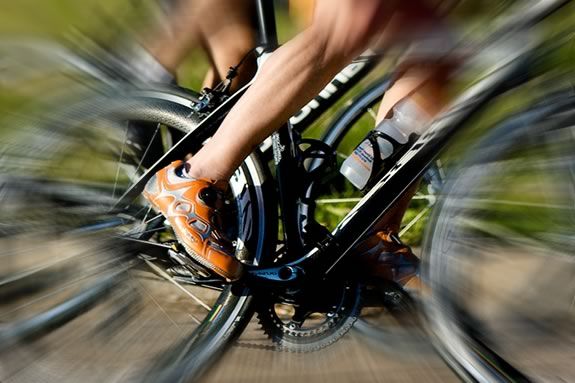 Pedal around Cape Ann with the Trustees on this family friendly ride! Pedal around Cape Ann with the Trustees on this family friendly ride!