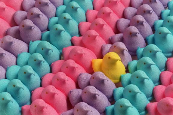 Manchester Public Library programs host their annual Easter marshmallow Peep show Manchester Public Library programs host their annual Easter marshmallow Peep show