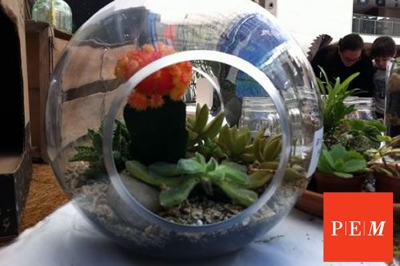 Peabody Essex Museum hosts a free terrarium workshop for Trails and Sails 2016!