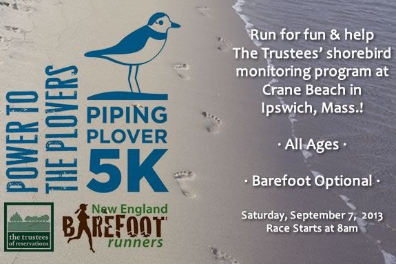 Run for fun and help raise funds for the Trustees of Reservations' Shorebird Monitoring Program at Crane Beach in Ipswich Massachusetts! Run for fun and help raise funds for the Trustees' Shorebird Monitoring Program!