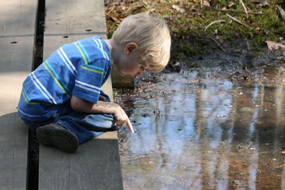 Explore the ponds of Dow Brook Conservation Area with Mass Audubon Joppa Flats Educators!