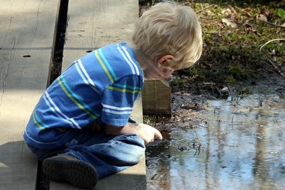 Ponds and puddles offer endless hours of exploration and discovery.