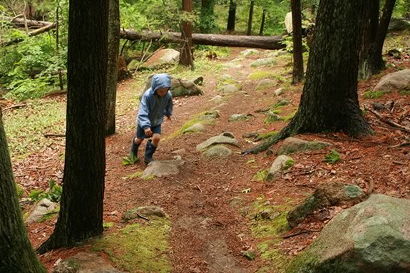 Celebrate Discoverers Day at Ravenswood Park in Gloucester, Massachusetts!