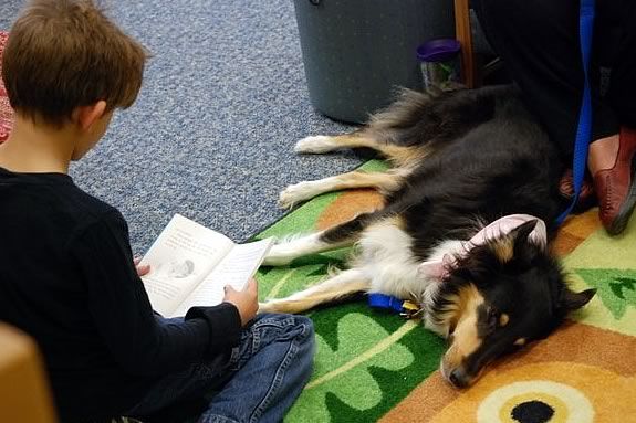 Kids can sign up to read to a therapy dog at the Newbury Town Library
