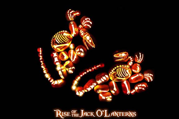 Boston Rise of the Jack O'Lanterns
