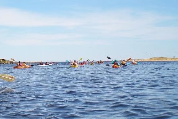 Yankee Homecoming Kayak & Paddle Board River Race. River kayakers. Photo: Plum Island Kayak Yankee Homecoming Kayak & Paddle Board River Race. River kayakers. Photo: Plum Island Kayak