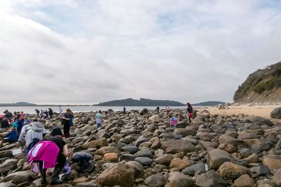 Kids and families are invited to come explore the rocky shore with naturalists from the Joppa Flats Education Center in Newburyport. Kids and families are invited to come explore the rocky shore with naturalists from the Joppa Flats Education Center in Newburyport.