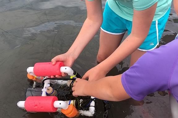 Explore Underwater Salem with Salem Sound Coastwatch and Mahi Cruises as part of Trails and Sails!