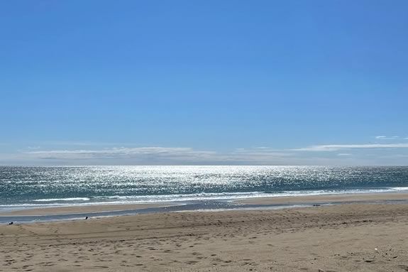 Come volunteer for a community cleanup at Salisbury Beach Massachusetts