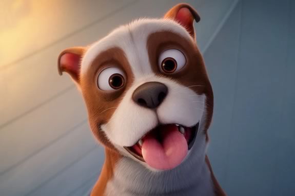 Come watch a FREE showing of Sargent Stubby on the waterfront in Gloucester MA Come watch a FREE showing of Sargent Stubby on the waterfront in Gloucester MA